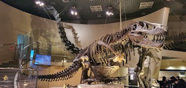 国立科学博物館に投稿された画像（2021/11/12）