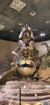 国立科学博物館に投稿された画像（2021/11/12）