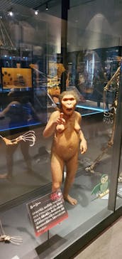 国立科学博物館に投稿された画像（2021/11/12）