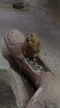 神戸どうぶつ王国に投稿された画像（2021/11/13）