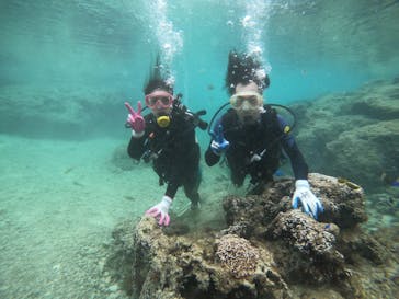 武藤潜水に投稿された画像（2021/11/13）