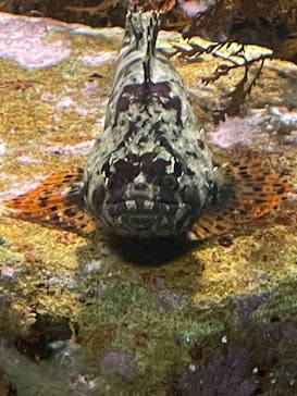 名古屋港水族館に投稿された画像（2021/11/13）