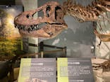ティラノサウルス展 ～Ｔ. rex 驚異の肉食恐竜～（名古屋市科学館）に投稿された画像（2021/11/13）