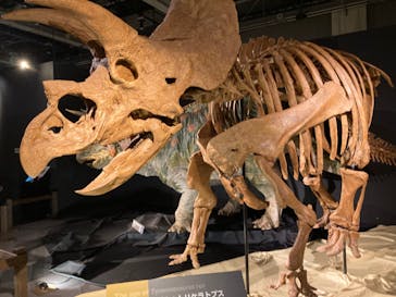 ティラノサウルス展 ～Ｔ. rex 驚異の肉食恐竜～（名古屋市科学館）に投稿された画像（2021/11/13）