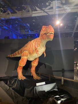 ティラノサウルス展 ～Ｔ. rex 驚異の肉食恐竜～（名古屋市科学館）に投稿された画像（2021/11/13）