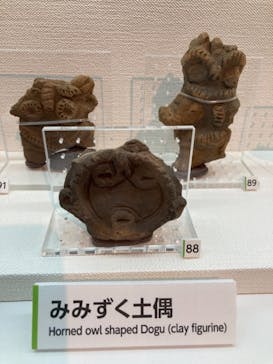 特別展「縄文2021―東京に生きた縄文人―」(江戸東京博物館）に投稿された画像（2021/11/13）