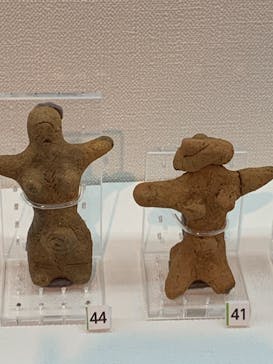 特別展「縄文2021―東京に生きた縄文人―」(江戸東京博物館）に投稿された画像（2021/11/13）