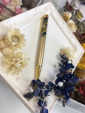 ずこうしつ〜sugamo〜に投稿された画像（2021/11/13）