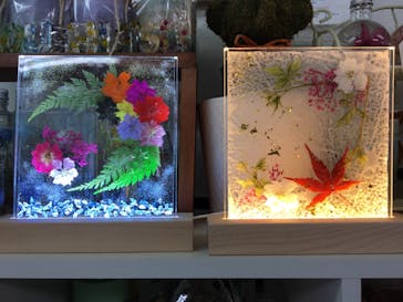 ずこうしつ〜sugamo〜に投稿された画像（2021/11/13）