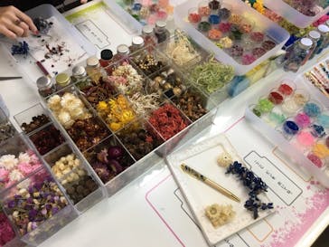 ずこうしつ〜sugamo〜に投稿された画像（2021/11/13）