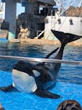 名古屋港水族館に投稿された画像（2021/11/13）