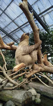 神戸どうぶつ王国に投稿された画像（2021/11/13）