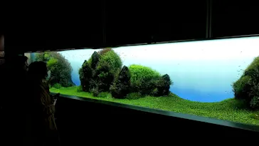 すみだ水族館に投稿された画像（2021/11/13）