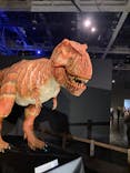 ティラノサウルス展 ～Ｔ. rex 驚異の肉食恐竜～（名古屋市科学館）に投稿された画像（2021/11/13）