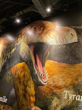 ティラノサウルス展 ～Ｔ. rex 驚異の肉食恐竜～（名古屋市科学館）に投稿された画像（2021/11/13）