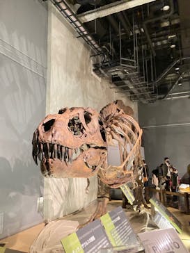 ティラノサウルス展 ～Ｔ. rex 驚異の肉食恐竜～（名古屋市科学館）に投稿された画像（2021/11/13）