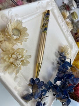 ずこうしつ〜sugamo〜に投稿された画像（2021/11/13）