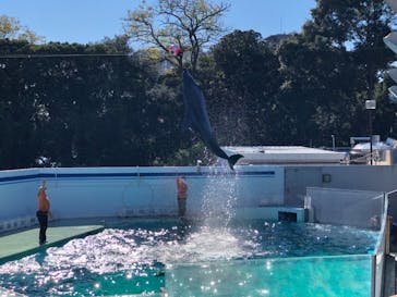 しながわ水族館に投稿された画像（2021/11/13）
