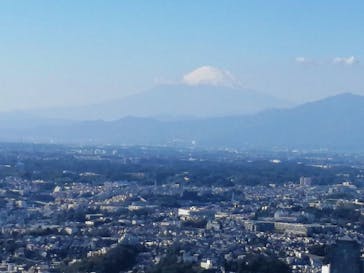 横浜ランドマークタワー 69階展望フロア スカイガーデンに投稿された画像（2021/11/13）