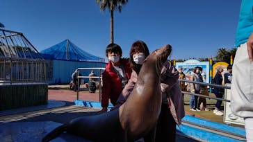 南知多ビーチランド＆南知多おもちゃ王国に投稿された画像（2021/11/13）