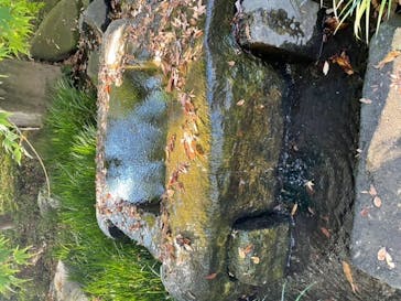 江戸東京たてもの園に投稿された画像（2021/11/13）