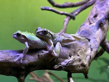 サンシャイン水族館に投稿された画像（2021/11/13）