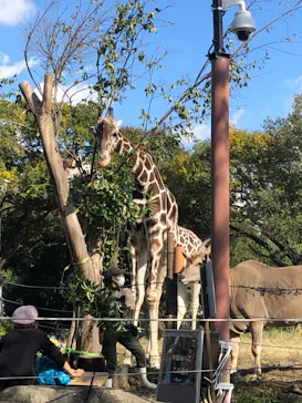 天王寺動物園に投稿された画像（2021/11/13）