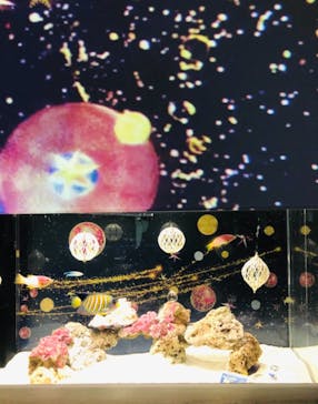 マクセル アクアパーク品川に投稿された画像（2021/11/13）