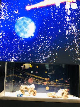 マクセル アクアパーク品川に投稿された画像（2021/11/13）