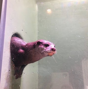 マクセル アクアパーク品川に投稿された画像（2021/11/13）