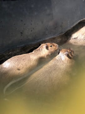 マクセル アクアパーク品川に投稿された画像（2021/11/13）