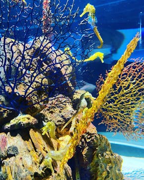 神戸みなと温泉 蓮に投稿された画像（2021/11/13）