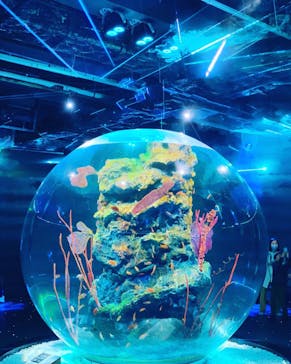 神戸みなと温泉 蓮に投稿された画像（2021/11/13）