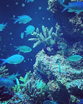 神戸みなと温泉 蓮に投稿された画像（2021/11/13）