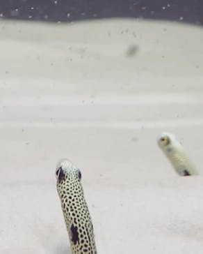 神戸みなと温泉 蓮に投稿された画像（2021/11/13）