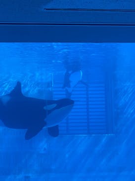 名古屋港水族館に投稿された画像（2021/11/13）