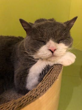 Moff animal world MARK IS みなとみらい店に投稿された画像（2021/11/13）