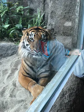 神戸どうぶつ王国に投稿された画像（2021/11/13）