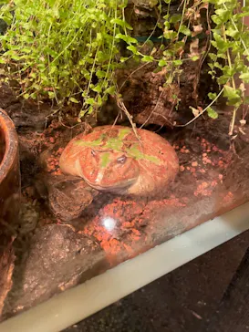 天王寺動物園に投稿された画像（2021/11/13）