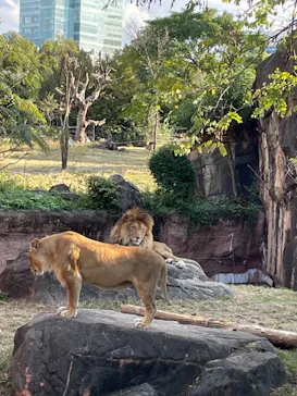 天王寺動物園に投稿された画像（2021/11/13）