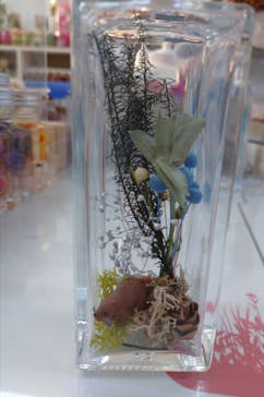 ずこうしつ〜sugamo〜に投稿された画像（2021/11/13）