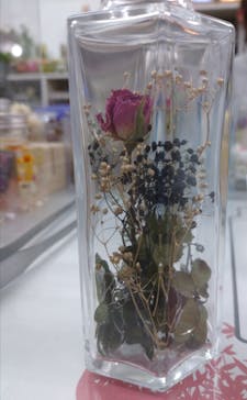 ずこうしつ〜sugamo〜に投稿された画像（2021/11/13）