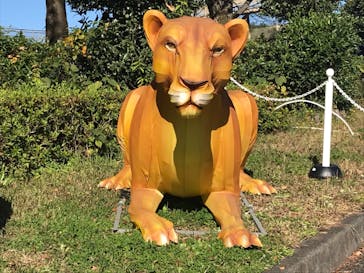 東武動物公園に投稿された画像（2021/11/13）