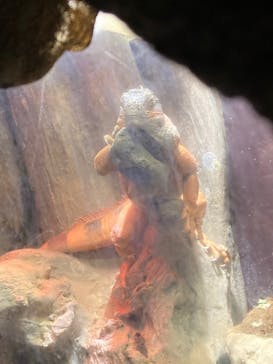 マクセル アクアパーク品川に投稿された画像（2021/11/13）