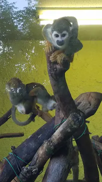 ひらかたパークに投稿された画像（2021/11/13）