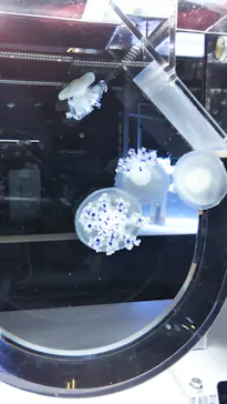 すみだ水族館に投稿された画像（2021/11/13）