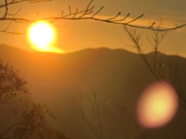 伊豆パノラマパークに投稿された画像（2021/11/13）