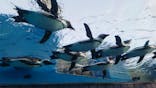 サンシャイン水族館に投稿された画像（2021/11/13）