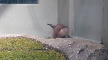 サンシャイン水族館に投稿された画像（2021/11/13）