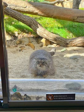 那須どうぶつ王国に投稿された画像（2021/11/13）